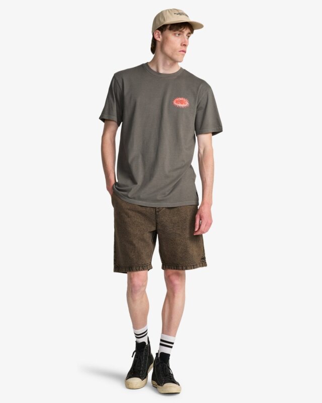 Billabong Burn Out WW SS Gri Erkek Tshirt - 4