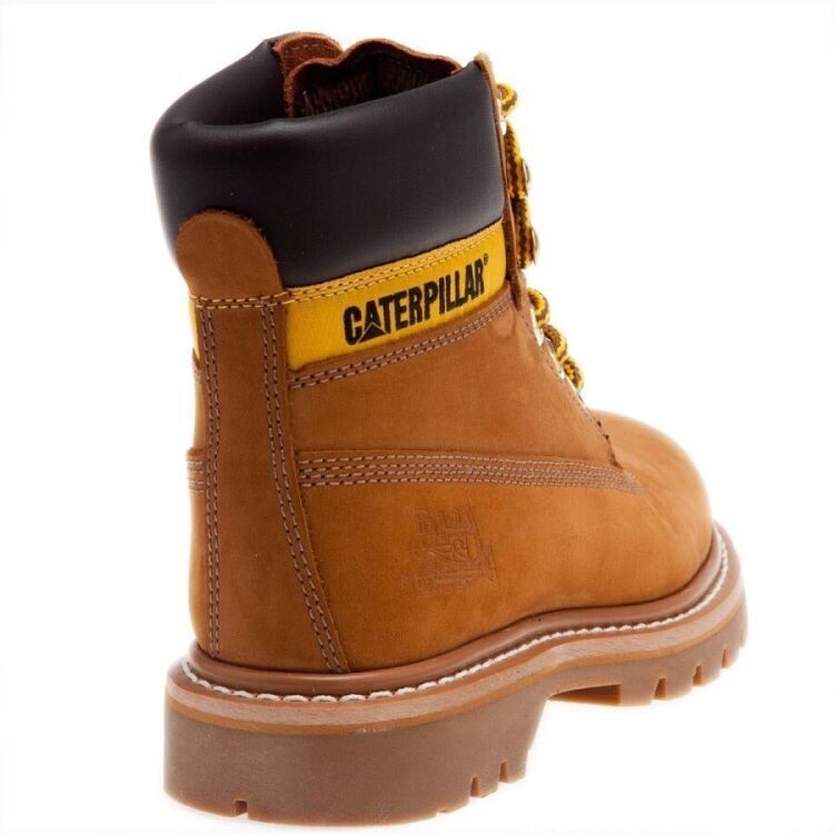 Cat COLORADO Tarçın Kadın Bot - 5