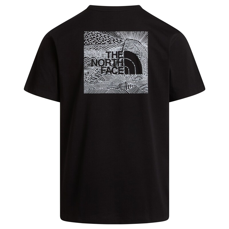 The North Face M Box Nse Celebration Reg SS Tee Siyah Erkek Tshirt - 5