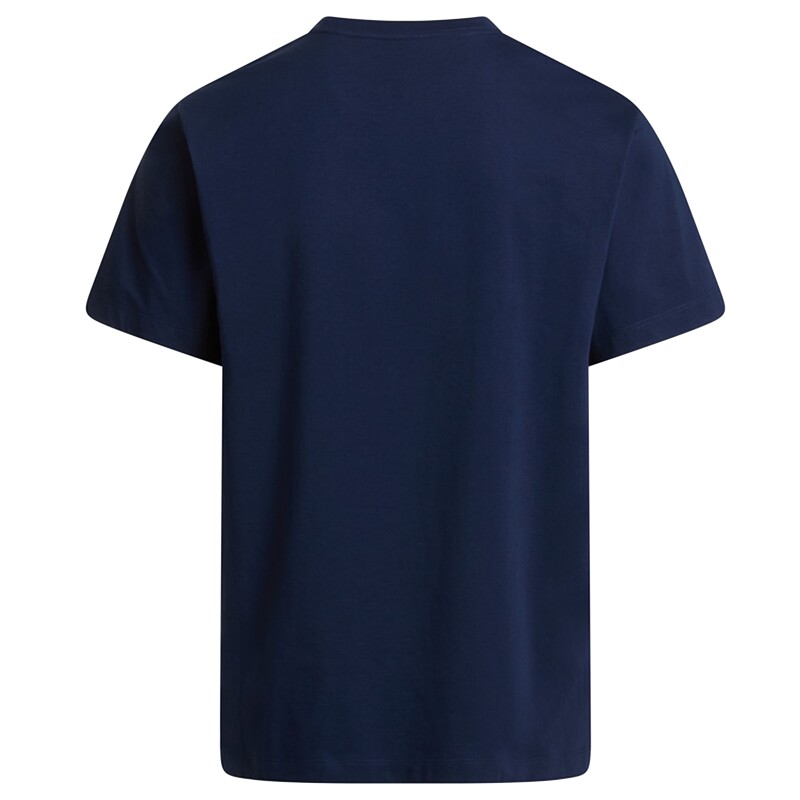 The North Face M Evolution Simple Dome Regular Short SL Lacivert Erkek Tshirt - 5
