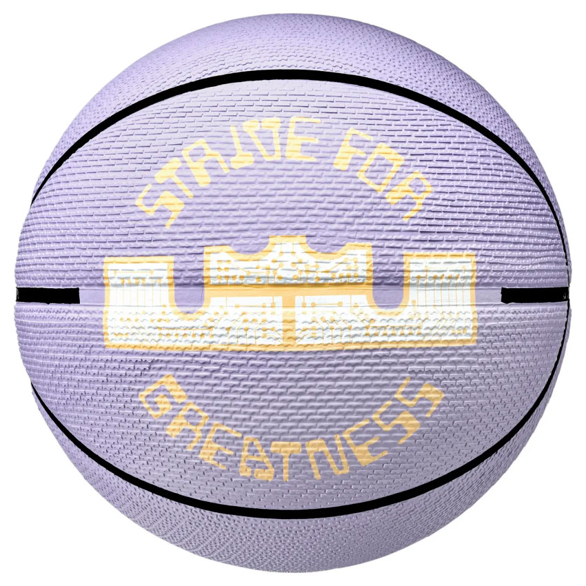 Nike Playgorund 2.0 8P L James Deflated Unisex Basketbol Topu - Nike