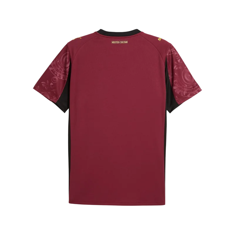 Puma Galatasaray 25/26 Alternatif Kırmızı Erkek Forma - 2