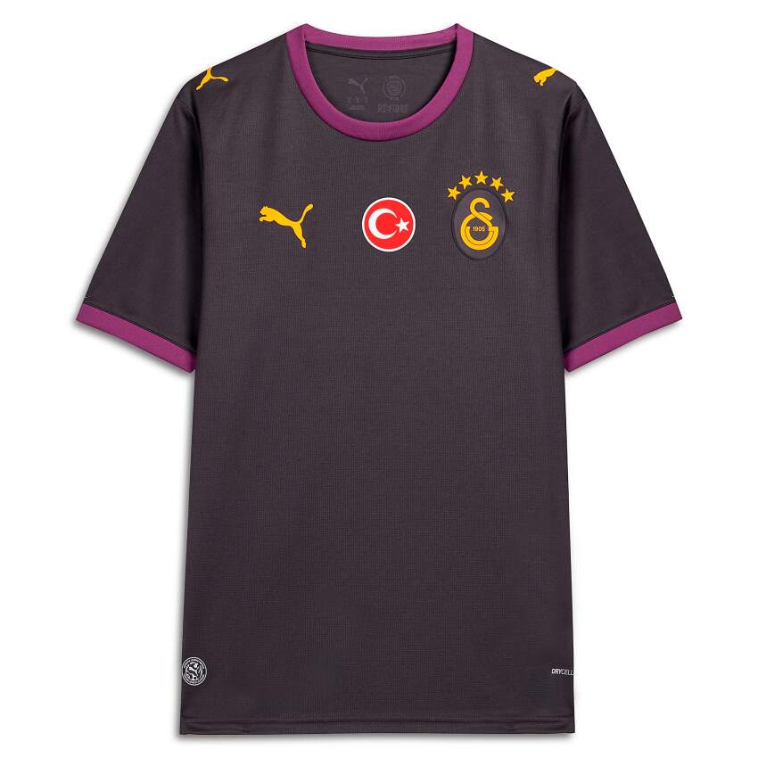 Puma Galatasaray 26/27 Deplasman Antrasit Erkek Forma - 4