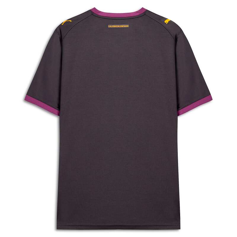 Puma Galatasaray 26/27 Deplasman Antrasit Erkek Forma - 5