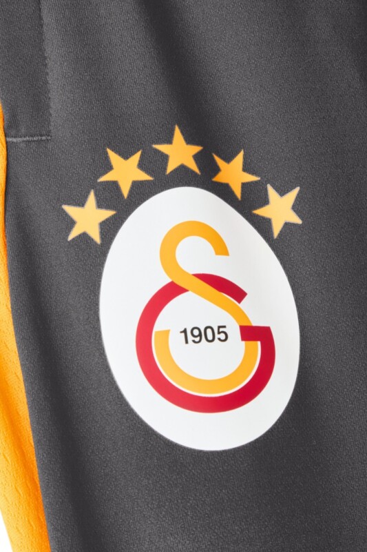 Puma Galatasaray Antrenman Antrasit Çocuk Eşofman Altı - 3