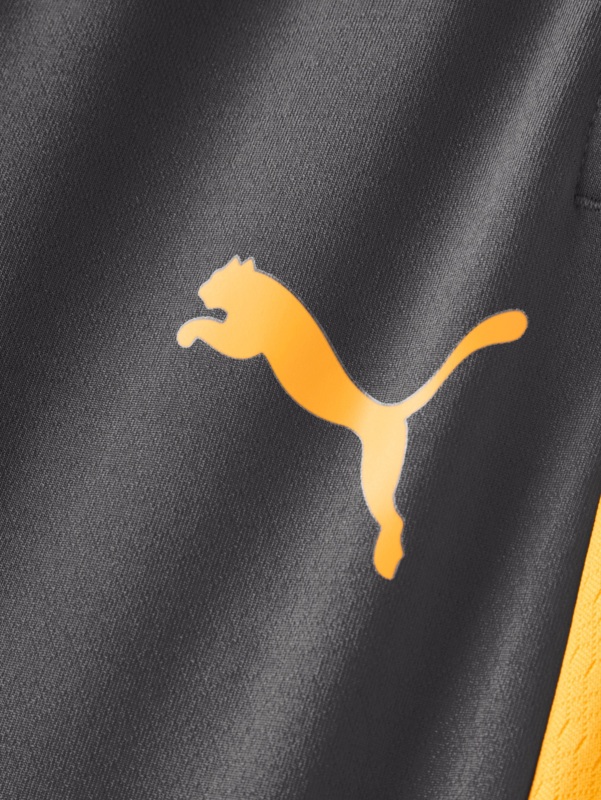 Puma Galatasaray Antrenman Antrasit Çocuk Eşofman Altı - 5