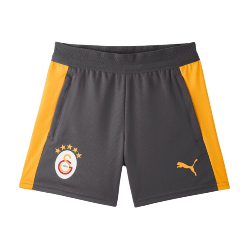 Puma Galatasaray Antrenman Antrasit Çocuk Şort - Puma