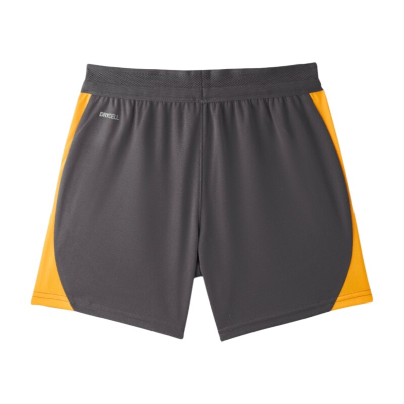 Puma Galatasaray Antrenman Antrasit Çocuk Şort - Puma (1)