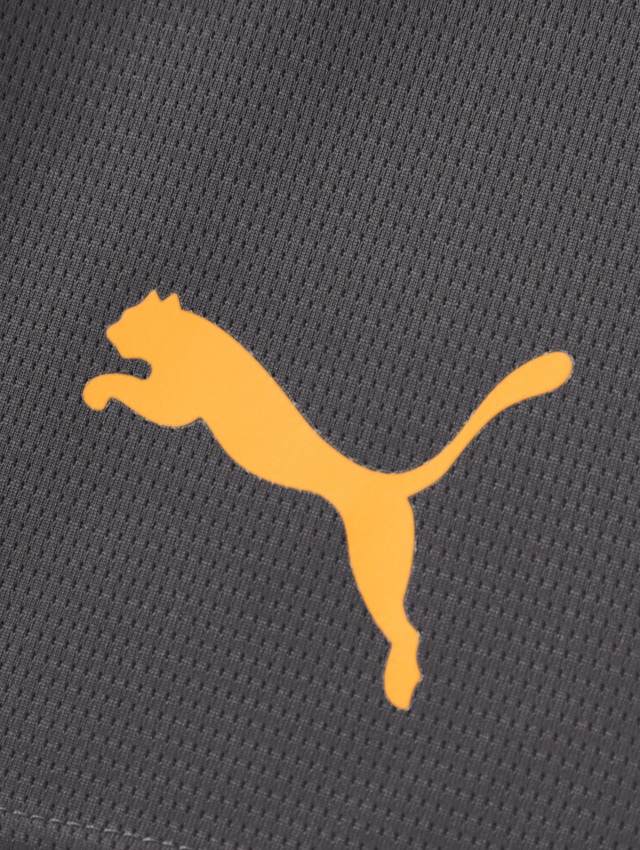 Puma Galatasaray Antrenman Antrasit Çocuk Şort - 4