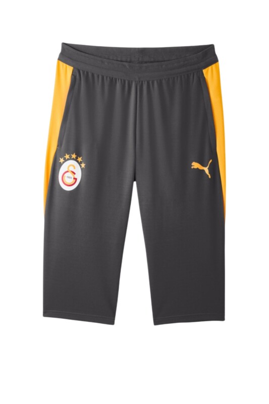 Puma Galatasaray Antrenman Antrasit Erkek Eşofman Altı - Puma