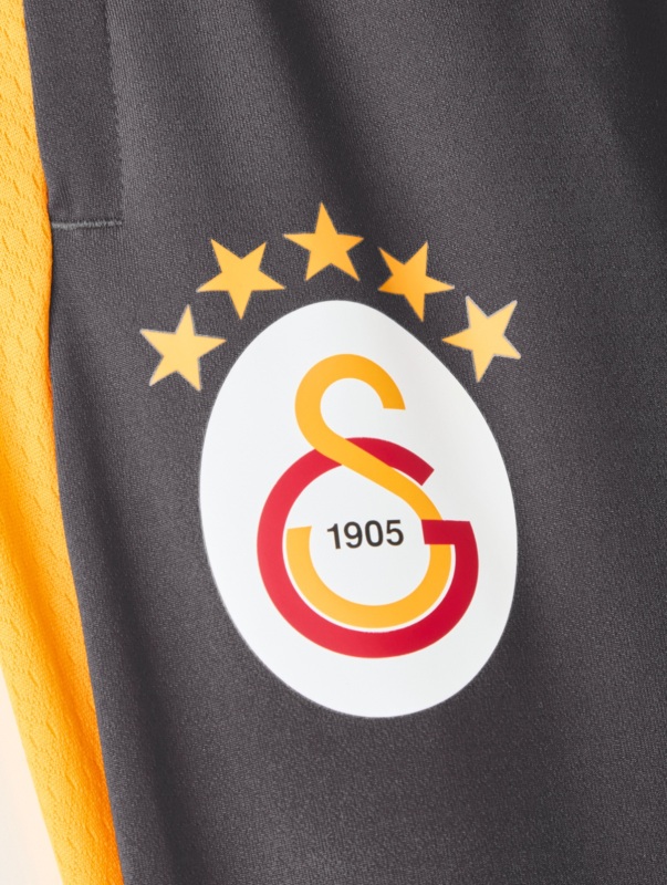 Puma Galatasaray Antrenman Antrasit Erkek Eşofman Altı - 4