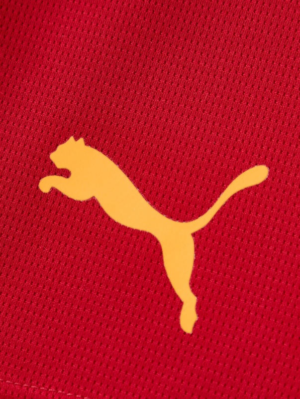Puma Galatasaray Antrenman Sarı-Kırmızı Çocuk Şort - 6