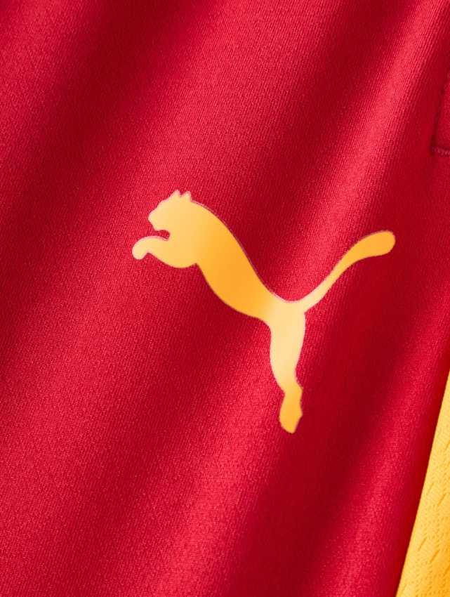 Puma Galatasaray Antrenman Sarı-Kırmızı Erkek Eşofman Altı - 4