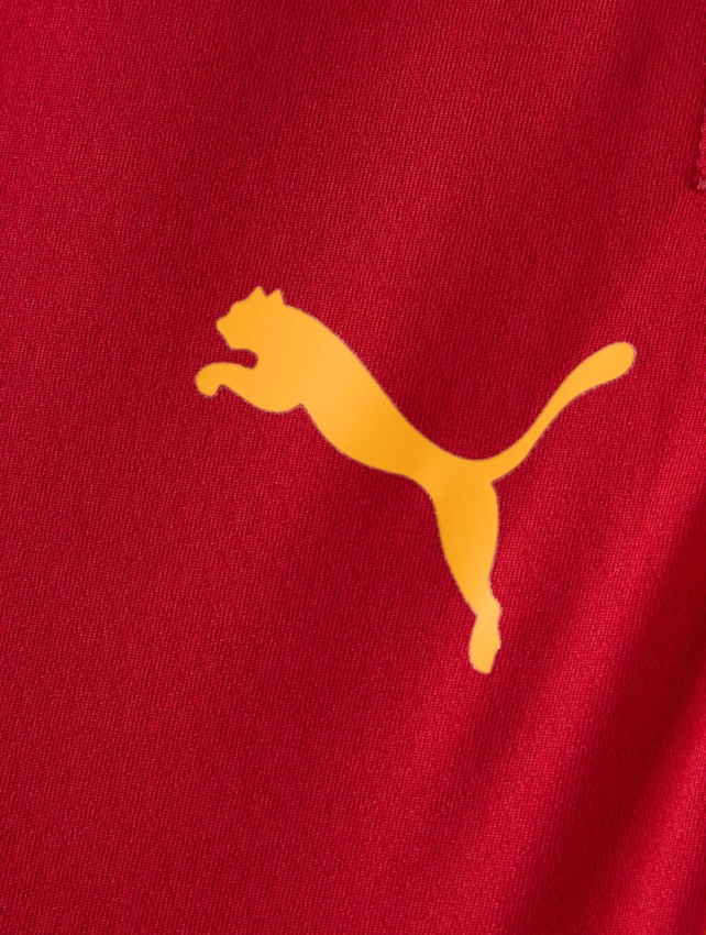 Puma Galatasaray Antrenman Sarı-Kırmızı Erkek Eşofman Altı - 4