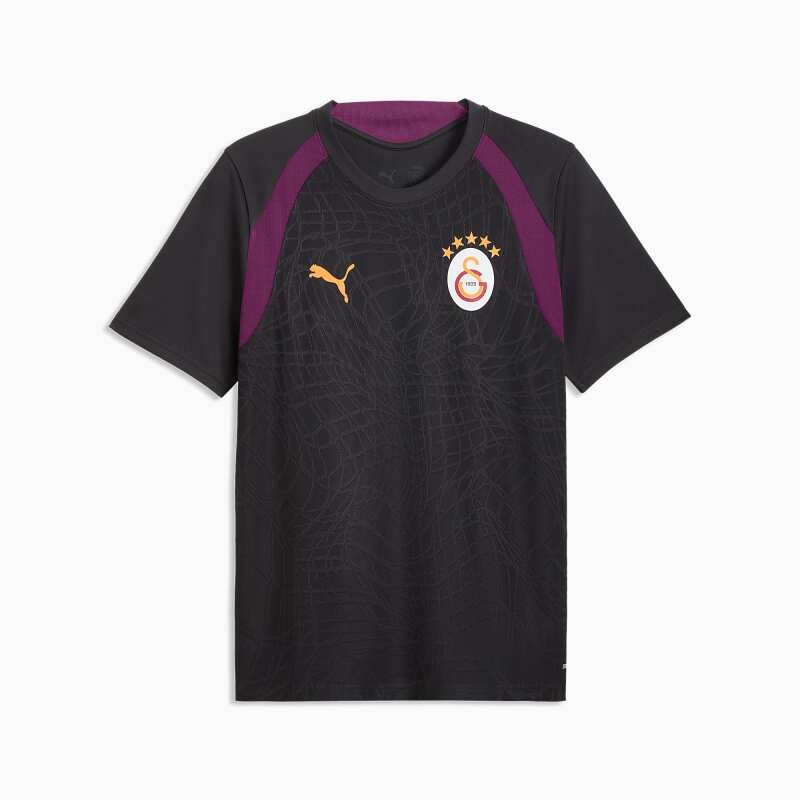 Puma Galatasaray Erkek Antrenman Antrasit Erkek Forma - 4