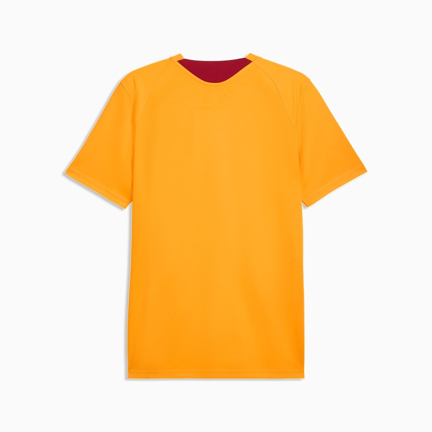 Puma Galatasaray Erkek Antrenman Sarı Erkek Forma - 2