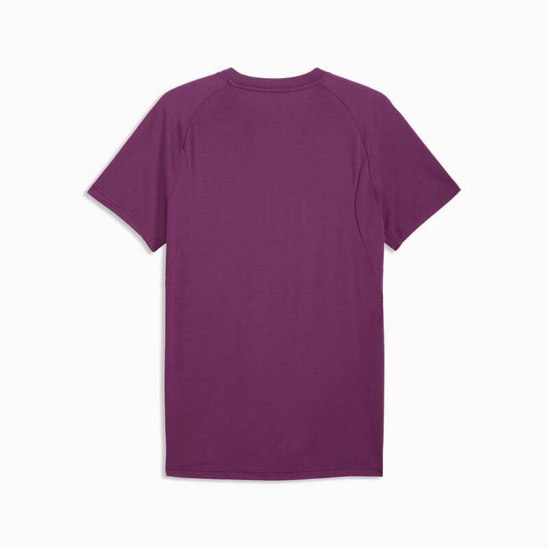 Puma Galatasaray Evostripe Mor Erkek Tshirt - 5