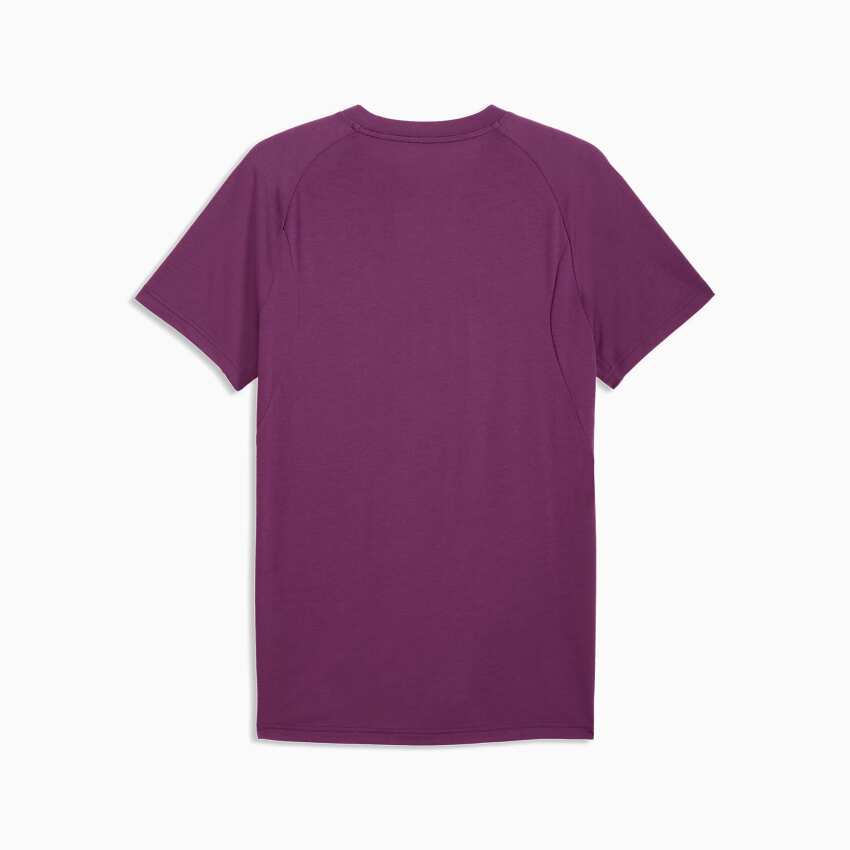 Puma Galatasaray Evostripe Mor Erkek Tshirt - 5