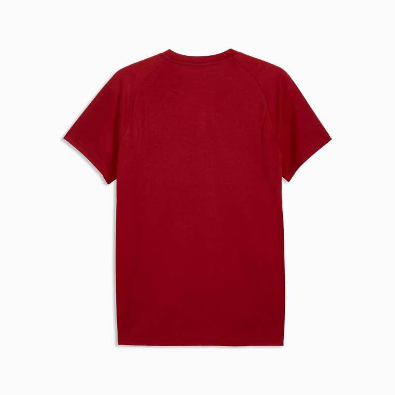 Puma Galatasaray Evostripe Sarı-Kırmızı Erkek Tshirt - 5