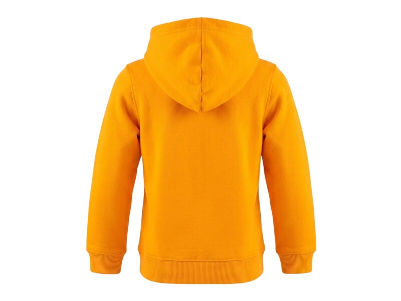 Puma Galatasaray FtblESSENTIALS Sarı-Kırmızı Çocuk Sweatshirt - Puma (1)