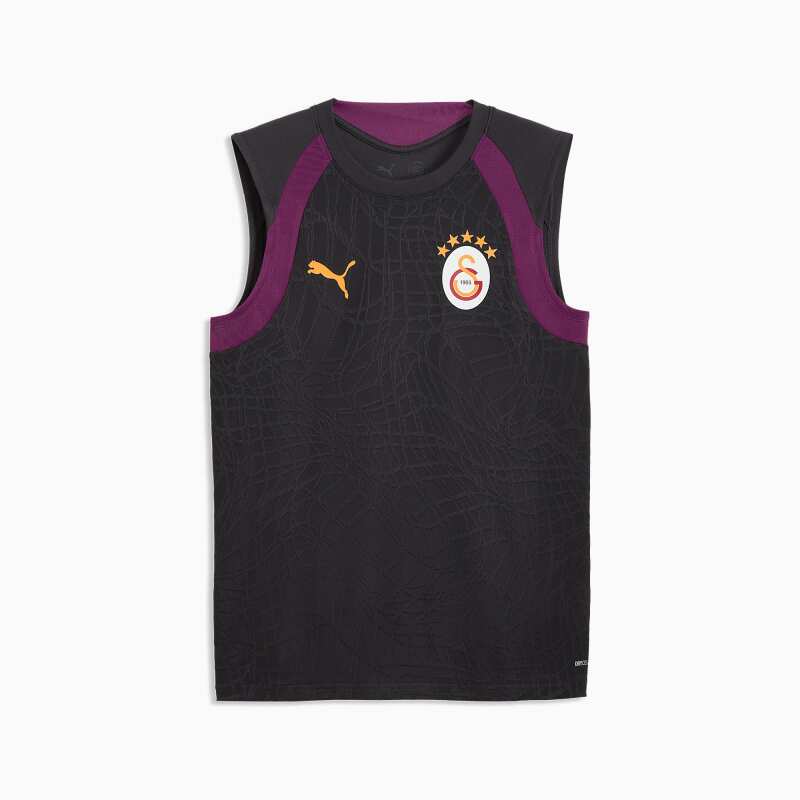 Puma Galatasaray Kolsuz Antrenman Antrasit Erkek Forma - 4