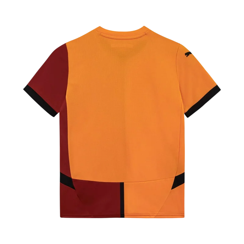 Puma Galatasaray 2024-2025 Stadium İç Saha Çocuk Forma - Puma (1)