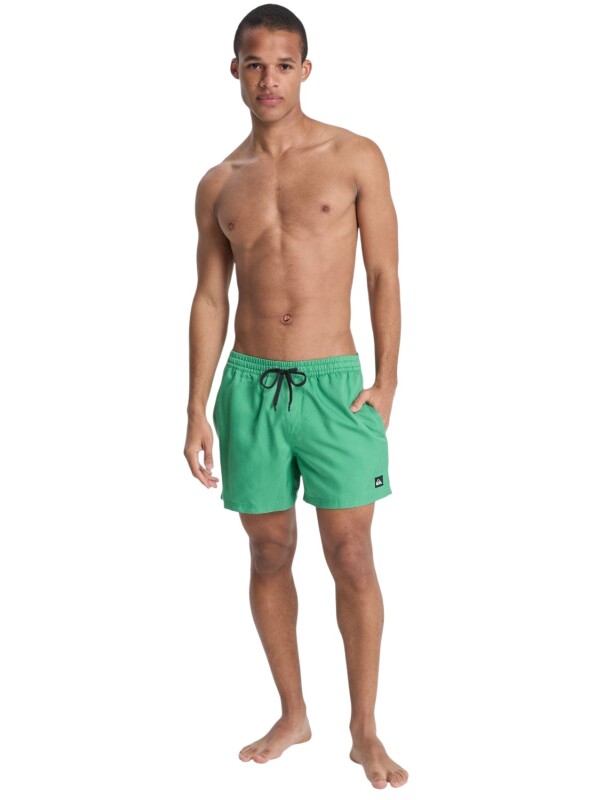 Quiksilver Deluxe 15 Yeşil Erkek Mayo - 6