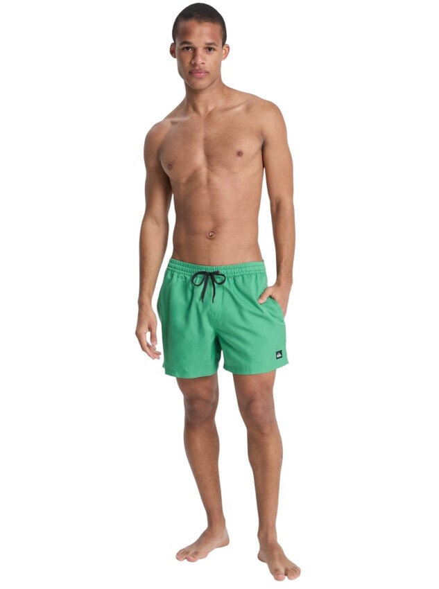Quiksilver Deluxe 15 Yeşil Erkek Mayo - 6