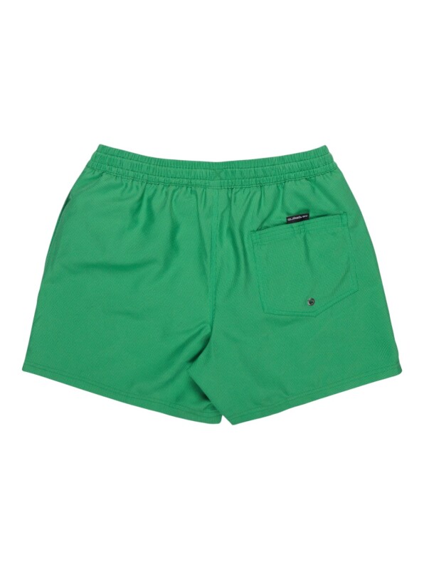 Quiksilver Deluxe 15 Yeşil Erkek Mayo - 8