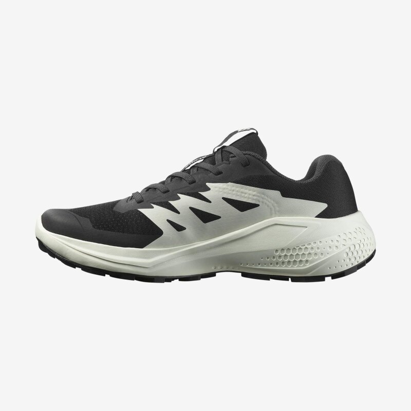 Salomon Alphaglide Siyah Kadın Koşu Ayakkabı - Salomon (1)